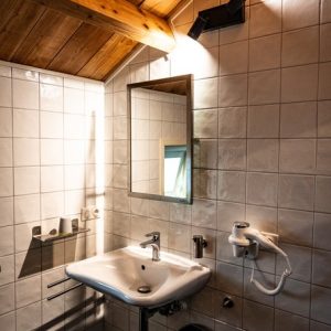 Het Koetshuis - Douche, Toilettafel met spiegel