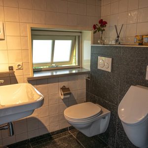 Het Koetshuis - Toilet