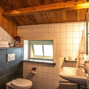 Het Koetshuis - Toilet
