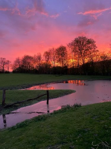 Vijver - Zonsondergang