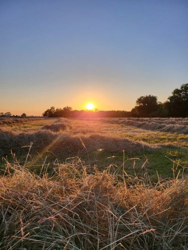 Zonsondergang